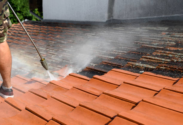 Best Roof Power Washing Services  in Amory, MS