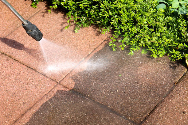 Best Affordable Power Washing  in Amory, MS